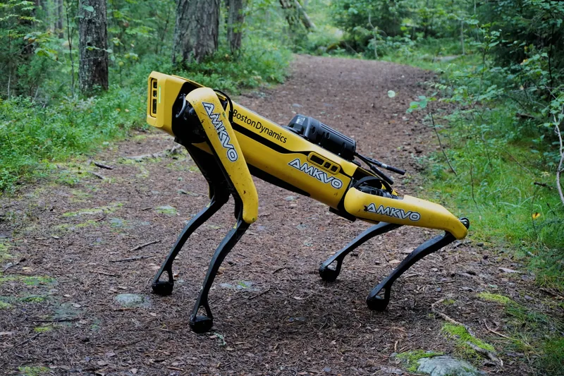 A yellow Boston Dynamics Spot quadruped robot standing on a forest path.
